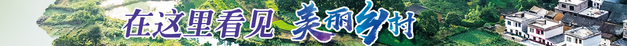 banner(14).jpg