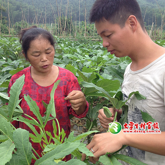图为李黎（右一）在指导村民种野菜。.JPG