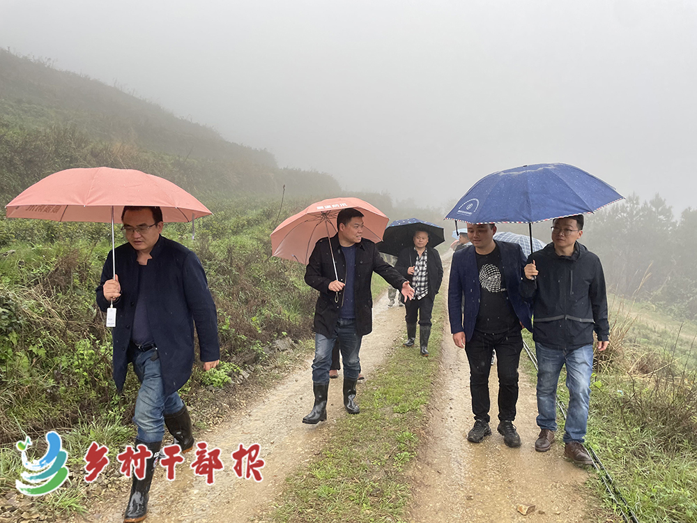 钟斌（左二）带队考察参观茶叶产业基地2.jpg