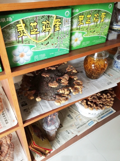 严瑾售卖的胡场灵芝鸡蛋