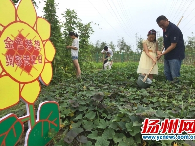 沈鹏在他的农庄里教学生做农活。王悦董鑫摄