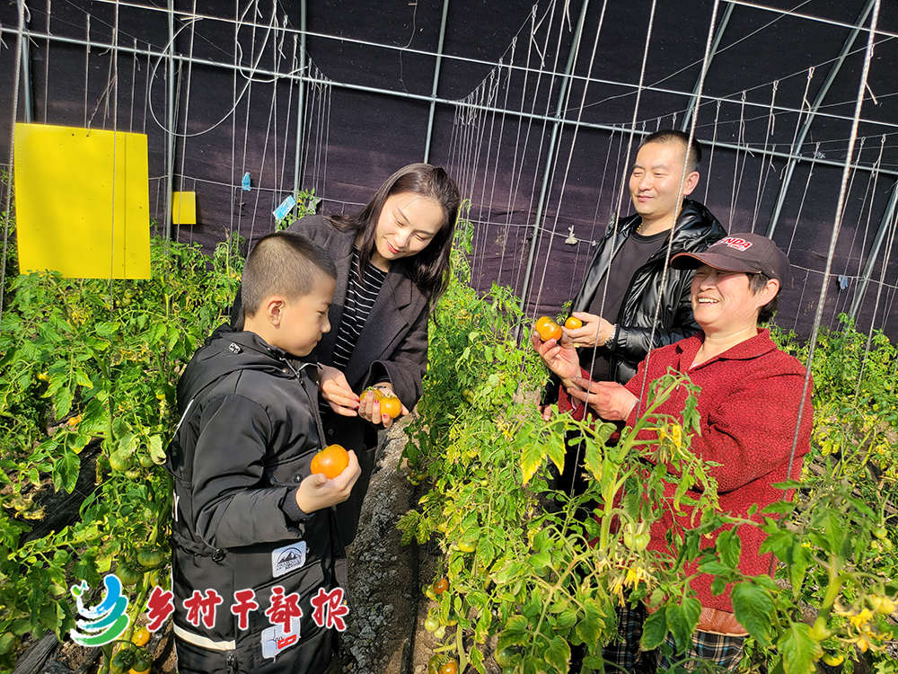 王思凝（左二）向游客介绍鹰爪柿子2.jpg