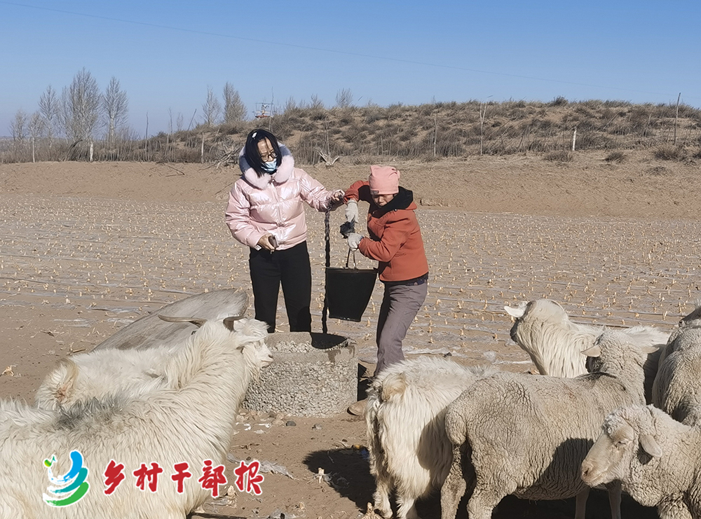 胡佳（左）了解养羊户情况2.jpg