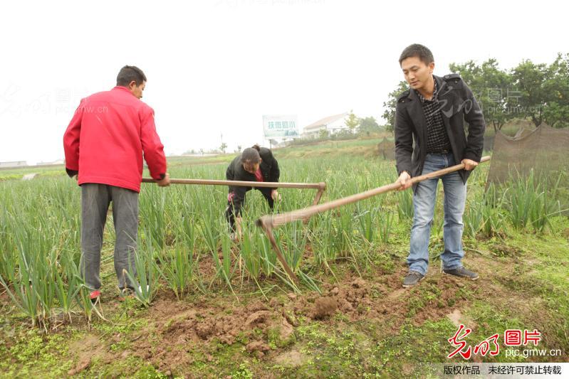 四川：大学生村官竟风流 水淹村变为美丽乡村