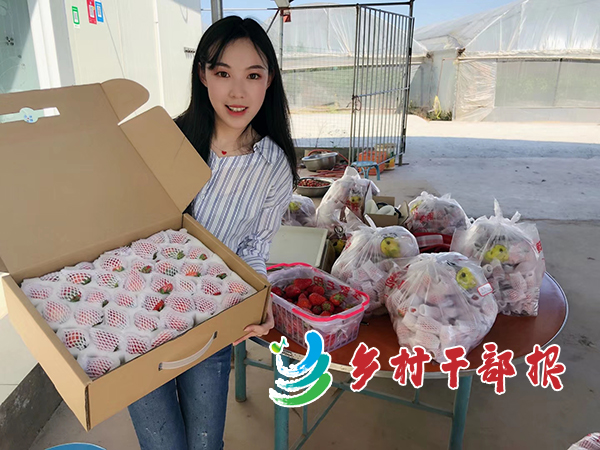 图为陈娟在展示包装好的草莓。2.jpg
