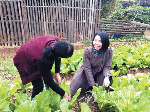 大学生村官朱扶容在菜地和村民交流