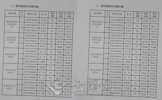 漾濞县出具的《漾濞彝族自治县2012年竞争性选拔科级领导干部公告(4号）》文件