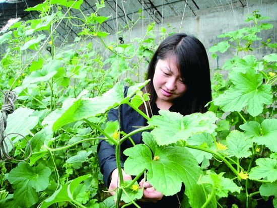 刘荣华在村里发展蔬菜种植