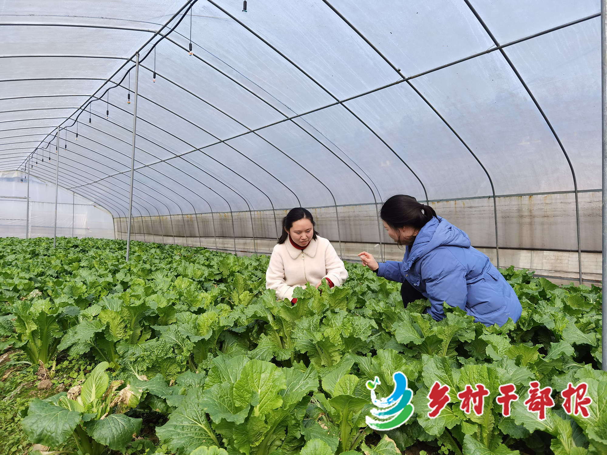 李黎黎（左）在学习蔬菜种植与管理技术2.jpg
