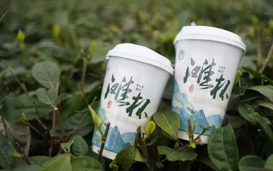 荥经大理村“滩杯”茶。（四川省雅安市荥经县花滩镇人民政府供图）.jpg